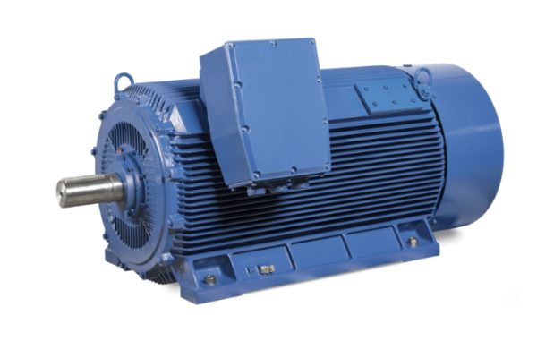 IEC Series High Voltage Motor