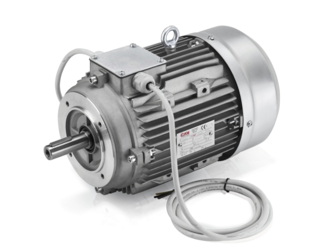 Electric motor for food industry