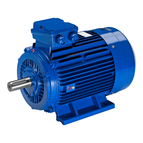 Cast Iron Double Speed Motor