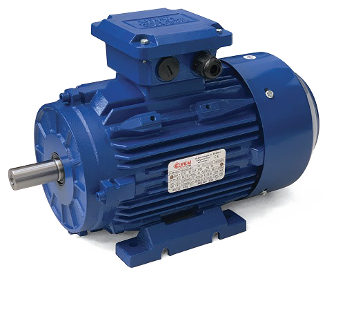 NEMA Premium Efficiency Motors