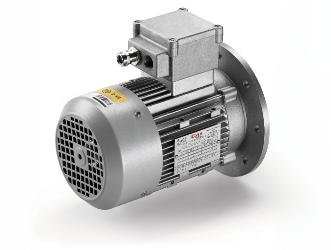 RL Series ATEX Motor